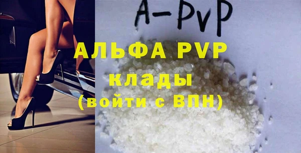 стаф Алзамай