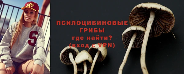стаф Алзамай
