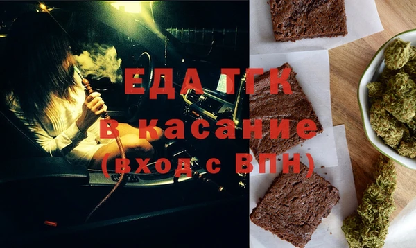 хмурый Алексин