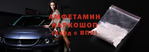хмурый Алексин