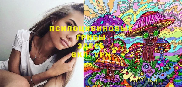 хмурый Алексеевка
