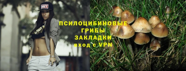 хмурый Алексин