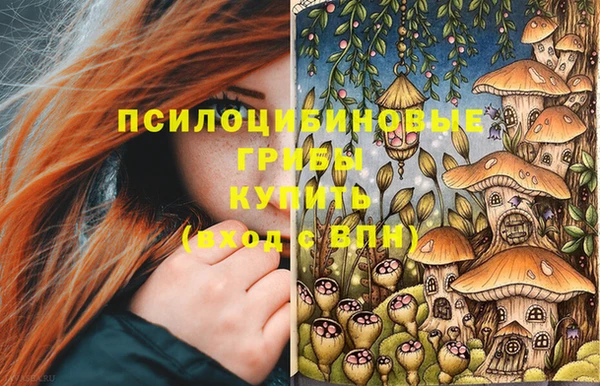 хмурый Алексеевка
