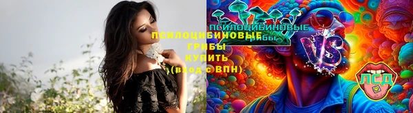 хмурый Алексеевка