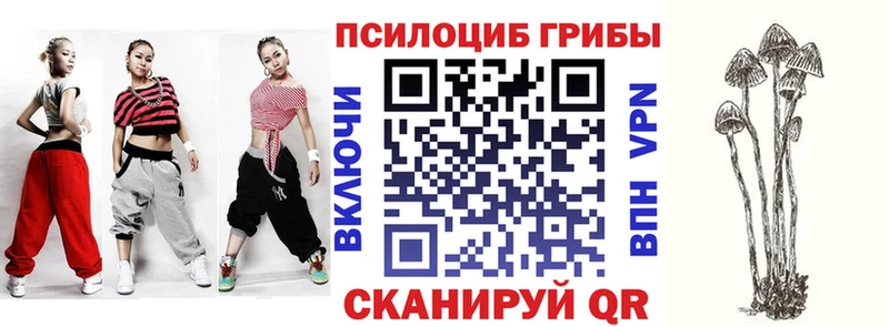Галлюциногенные грибы мицелий  сколько стоит  Слободской 